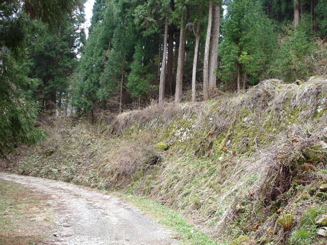 �ѓ�������