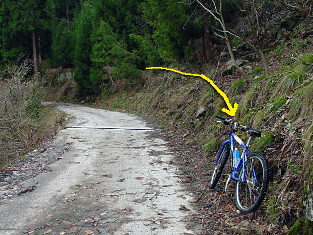 ������J�[�ѓ�������