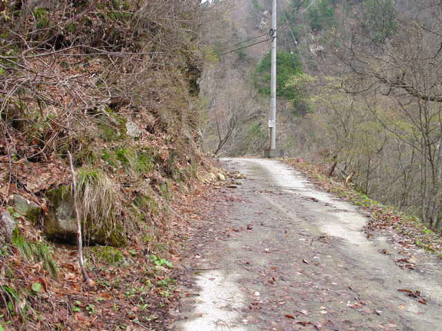 ���،ːX�ѓS��,�ѓS,�p����,�ѓ�,�_���c�я�