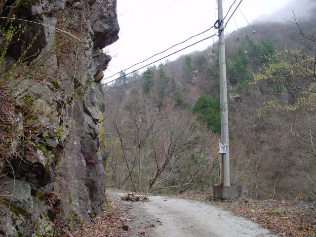 ���،ːX�ѓS��,�ѓS,�p����,�ѓ�,�_���c�я�