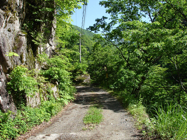 ���،ːX�ѓS��,�ѓS,�p����,�O����,�o�Z�k�J