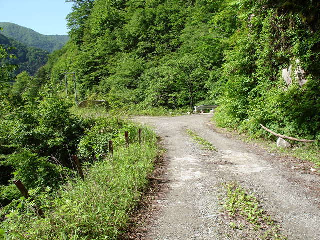 ���،ːX�ѓS��,�ѓS,�p����,詓�,�g���l��