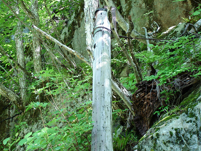 ���،ːX�ѓS��,�ѓS,�p����,�ʐM��,�_���c�я�