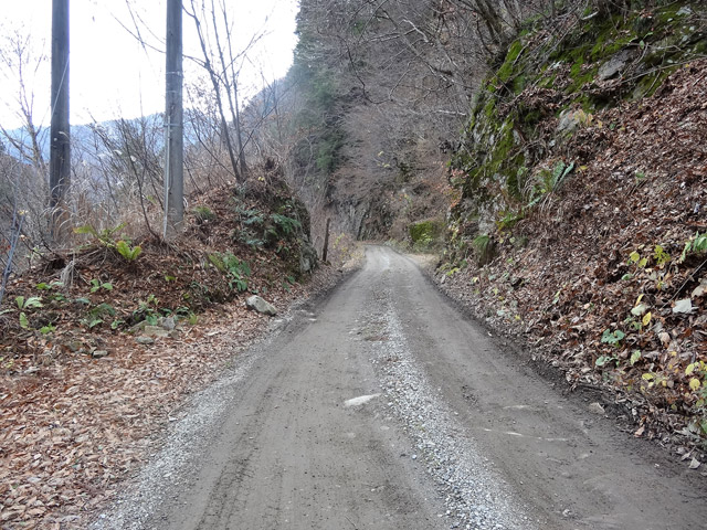 ���،ːX�ѓS��,�ѓS,�p����,�O����,�o�Z�k�J