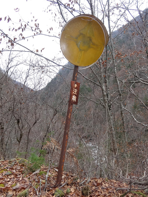 ���،ːX�ѓS��,�ѓS,�p����,�J�[�u�~���[,�O����