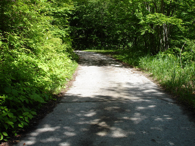 ���،ːX�ѓS��,�ѓS,�p����,�O����,����