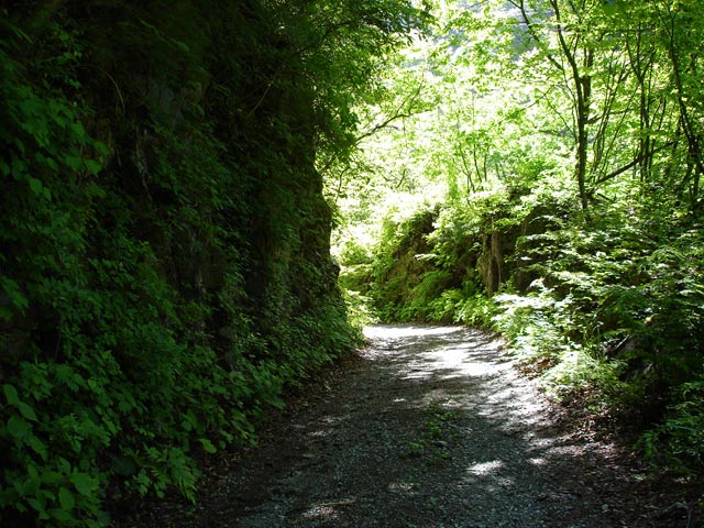 ���،ːX�ѓS��,�ѓS,�p����,�o�Z�k�J