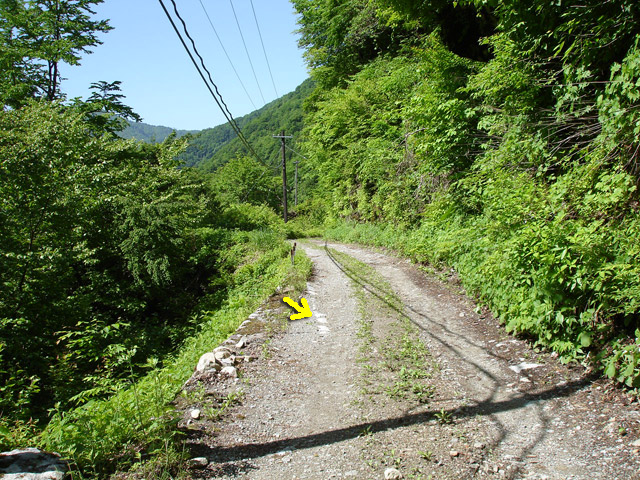 ���،ːX�ѓS��,�ѓS,�p����,������,�o�Z�k�J