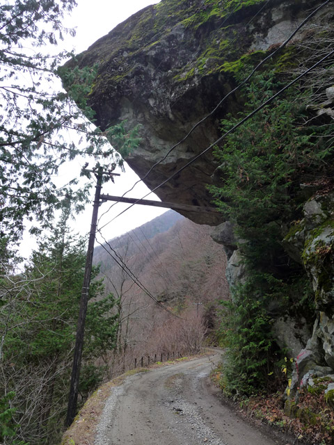 ���،ːX�ѓS��,�ѓS,�p����,������,�o�Z�k�J,�I�[�o�[�n���O