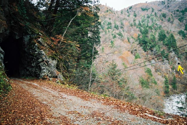 ���،ːX�ѓS��,�ѓS,�p����,詓�,��11���g���l��,�o�Z�J