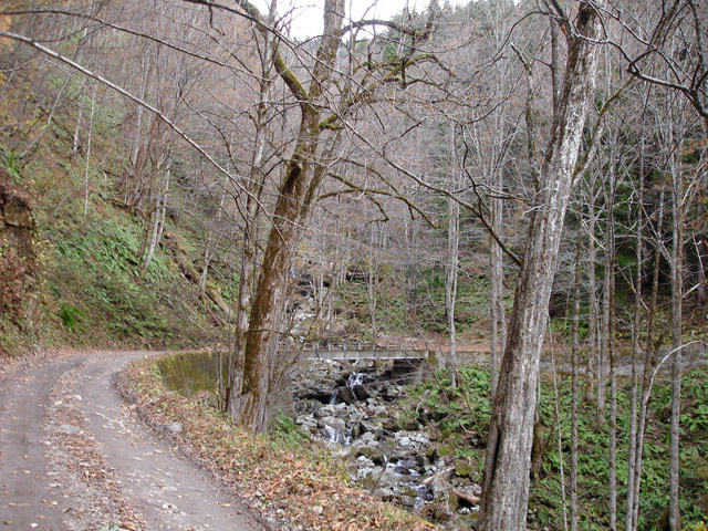 ���،ːX�ѓS��,�ѓS,�p����,�o�Z�k�J,�����J