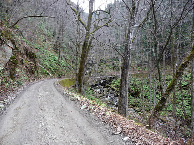 ���،ːX�ѓS��,�ѓS,�p����,�o�Z�k�J,�����J