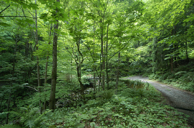 ���،ːX�ѓS��,�ѓS,�p����,�o�Z�k�J