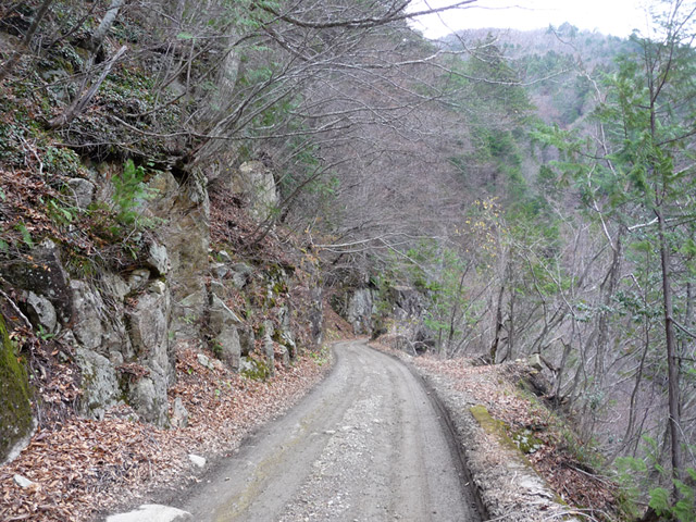 ���،ːX�ѓS��,�ѓS,�p����,�ѓ�,�o�Z�k�J