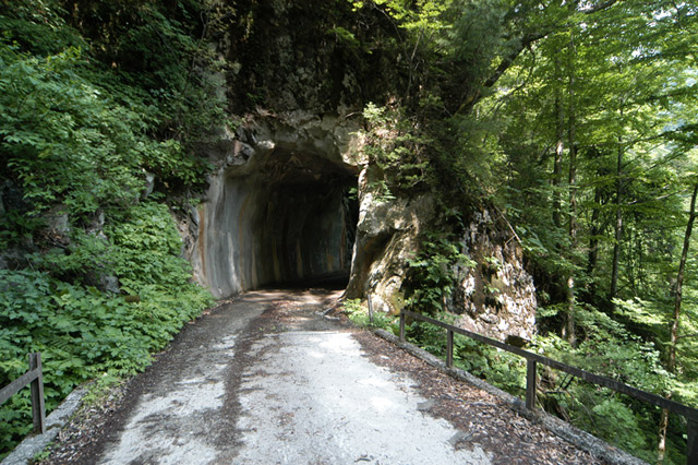 ���،ːX�ѓS��,�ѓS,�p����,��14��詓�,�g���l��