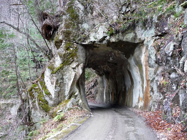 ���،ːX�ѓS��,�ѓS,�p����,��14��詓�,�g���l��