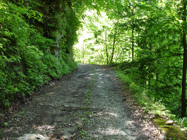 ���،ːX�ѓS��,�ѓS,�p����,�ѓ�,�o�Z�k�J,�_���c�я�