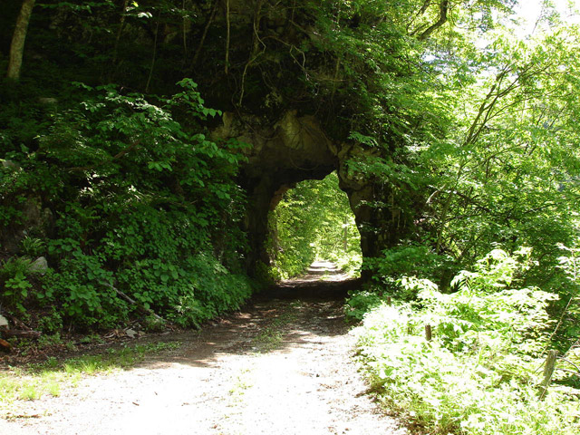 ���،ːX�ѓS��,�ѓS,�p����,詓�,�g���l��,�f�@��,�O����