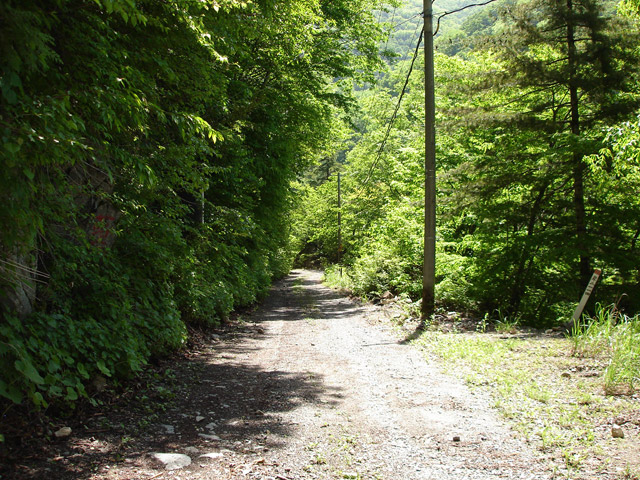 ���،ːX�ѓS��,�ѓS,�p����,�ѓ�,�o�Z�J,�O����