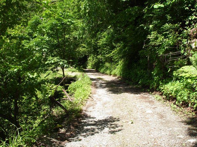 ���،ːX�ѓS��,�ѓS,�p����,�_���c�я�,�o�Z�k�J,�O����