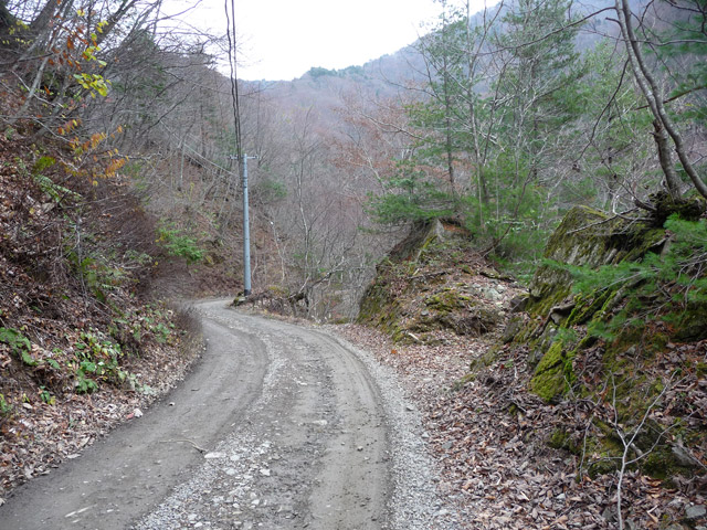 ���،ːX�ѓS��,�ѓS,�p����,�_���c�я�,�o�Z�J,�O����