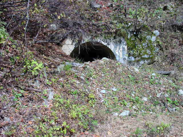 ���،ːX�ѓS��,�ѓS,�p����,詓�,�g���l��,�R���N���[�g�����čH�@,�O����