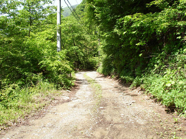 ���،ːX�ѓS��,�ѓS,�p����,�_���c�я�,�o�Z�k�J,�O����