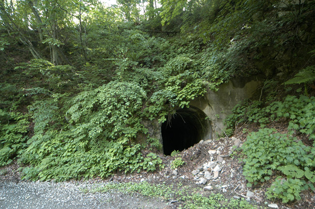 ���،ːX�ѓS��,�ѓS,�p����,詓�,�g���l��,�O����,�B��