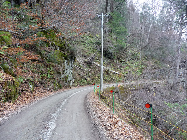 ���،ːX�ѓS��,�ѓS,�p����,�����,�o�Z�J,�_���c�я�