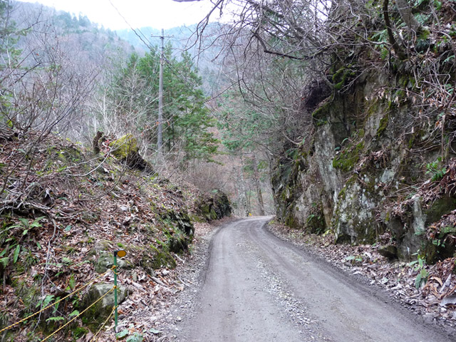 ���،ːX�ѓS��,�ѓS,�p����,S���J�[�u,�o�Z�J,�؂�ʂ�