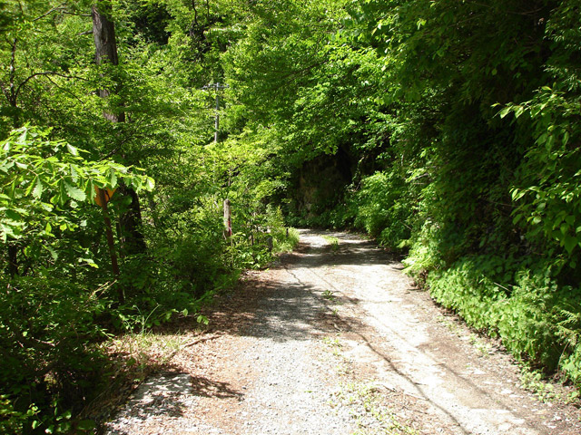 ���،ːX�ѓS��,�ѓS,�p����,�����,�o�Z�J,�_���c�я�