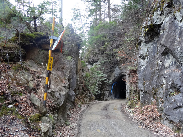 ���،ːX�ѓS��,�ѓS,�p����,�ѓ�,�؍މ^���O����,�_���c�я�,28��詓�,�g���l��