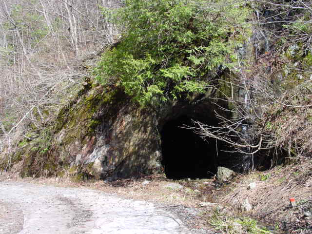 ���،ːX�ѓS��2����,�ѓS,�p����,��1���g���l��,詓�,�w�A�s���J�[�u