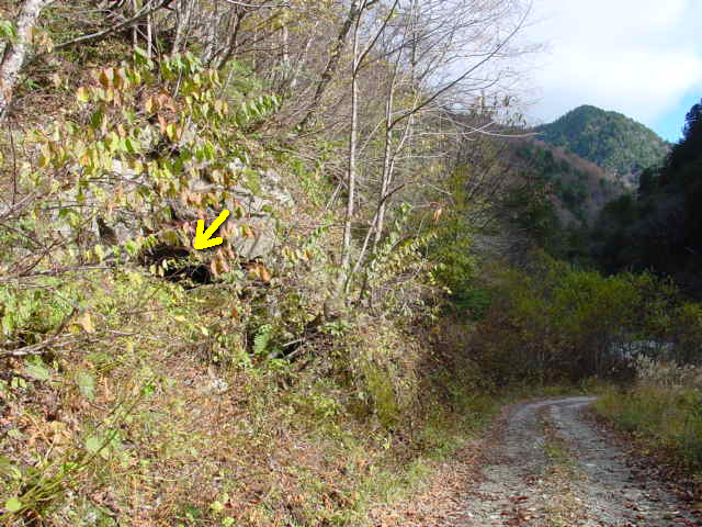 ���،ːX�ѓS��2����,�ѓS,�p����,�g���l��,1��詓�,���