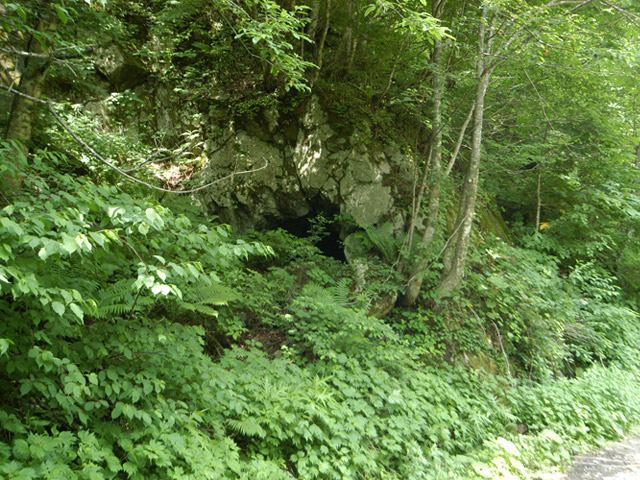 ���،ːX�ѓS��2����,�ѓS,�p����,�p詓�,1���g���l��,�؍މ^���O����