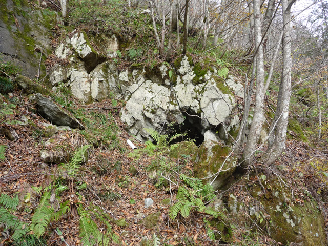 ���،ːX�ѓS��2����,�ѓS,�p����,�p詓�,1���g���l��,�X�ыO����