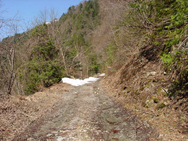 ���،ːX�ѓS��2����,�ѓS,�p����,���R�s,�ѓ�,�i���[�O����