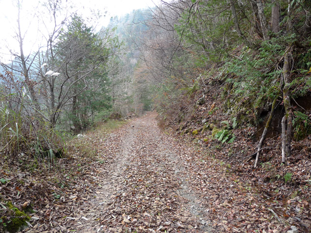 ���،ːX�ѓS��2����,�ѓS,�p����,�_���c�я�,��ːX�ъǗ���,�X�ыO����