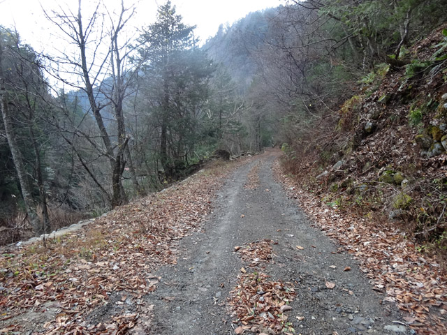 ���،ːX�ѓS��2����,�ѓS,�p����,�_���c�я�,2�t�B�[�g6�C���`,����