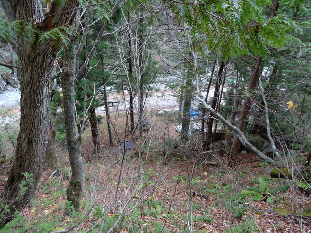 ���،ːX�ѓS��2����,�ѓS,�p����,�_���c�я�,���،ː��i���Ə�,�i���[�O����