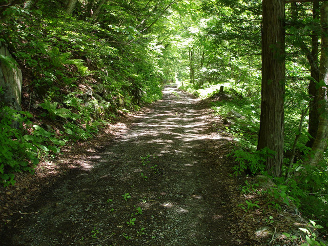 ���،ːX�ѓS��2����,�ѓS,�p����,�_���c�я�,�H��,�g���b�R�O����