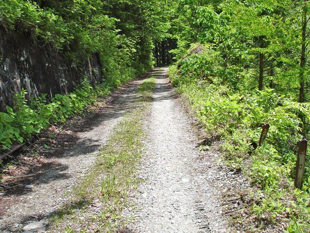 ���،ːX�ѓS��,�ѓS,���[��,�g���l��,��������ʐ^,詓�,�搅��