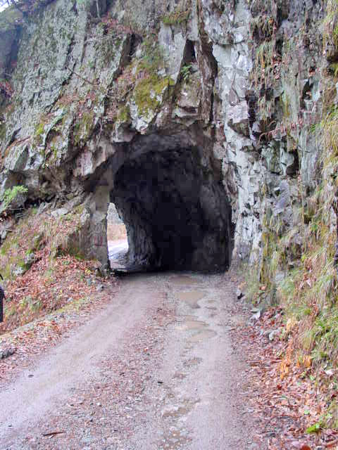 ���،ːX�ѓS��2����,�ѓS,�p����,��������,�i���[�O����,���m����