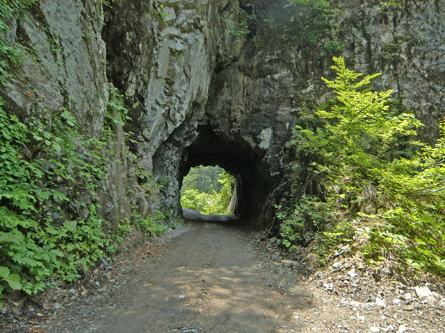 ���،ːX�ѓS��,�ѓS,�p����,�i���[�O����,���,�_���c�я�