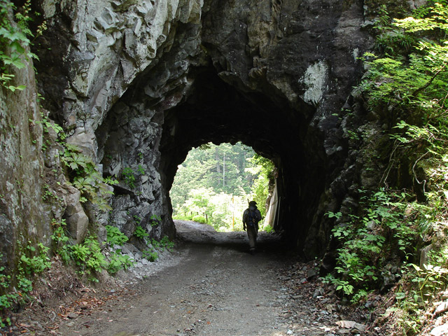 ���،˗ѓS,�X�ѓS��,�p����,4��詓�,�g���l��,�؍މ^���O����,�o�Z�k�J