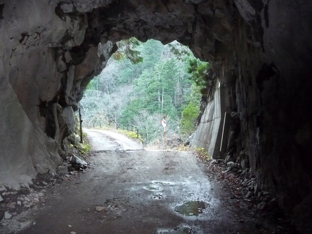 ���،ːX�ѓS��,�ѓS,�p����,�i���[�O����,4���g���l��,詓�,2����