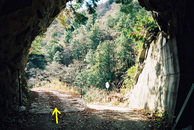 ���،ːX�ѓS��2����,�ѓS,�p����,�؍މ^���O����,4���g���l��,詓�,�ѓ�