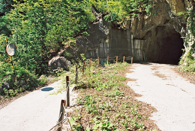 ���،ːX�ѓS��2����,�ѓS,�p����,�g���b�R�O����,4���g���l��,�f�@���詓�,���R�s