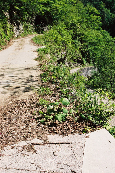 ���،˗ѓS2����,�X�ѓS��,�p����,�؍މ^���O����,�_���c�я�,2�t�B�[�g6�C���`