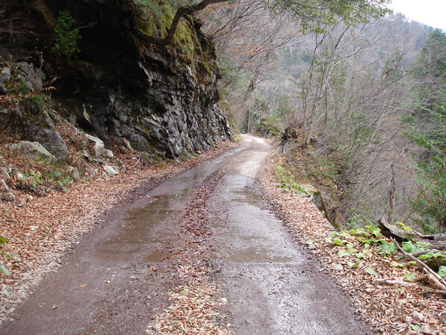 ���،˗ѓS2����,�X�ѓS��,�p����,�i���[�O����,�ѓ�,���É��c�ы�